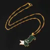 Designer halsband lyx smycken pakistan national flagga karta hänge fashoin etniska för man kvinnor krage charm noble choker