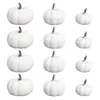 12x White Realistic Pumpkin Fall Harvest Thanksgiving Party Decor DIY Painting Y0829