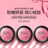 Blush BioAqua Glänzende Wange Glühen auf 4 Farben Pulver Gesicht Make-up-Werkzeug-Blusher gepresste Stiftung Mineral mit Pinsel
