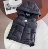 Kadın Moda Yelekler Aşağı Parkas Ceket Sonbahar Kış Sıcak Kalın Mont Lady Ince Stil Ceketler için Kapüşonlu Kolsuz Rüzgarlık 3 Seçenekler Boyutu S-L