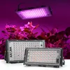 50 W 100 W LED LED Lights 220 V Purple Phyto Light z wtycznymi lampami roślinnymi do szklarni hydroponicznych sadzenia kwiatów2458