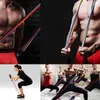 Resistance Bands Set Bodybuilding Home Gym Equipment Professional Weight Training Fitness Elastic Rubber Workout Expander6993870