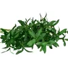 Decorative Flowers & Wreaths Artificial Olive Branch Leaves Simulation Vase Green Plant Silk Homemade Bouquet Home Garden Wedding Decoration