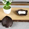 Kreativer Kokosnussschalen-Seifenhalter in Schmetterlingsform, Cartoon-Seifenkiste, südostasiatische Kokosnussschalen-Seifenschale aus Holz, SN3358