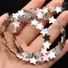 Andra Naturliga Svart Skal Beaded Oval Plommon Stjärna Hjärta Mamma Av Pärla Lösa Pärlor För DIY Charms Halsband Bracelet Making Smycken 14 ''