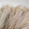 122cm Bulrush Artificial Pampas Grass Phragmites Plants Wedding Flower Bunch Decoration DIY Home Decor Fake Flowers Reeds Grass Y0630