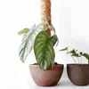 Planters & Pots Plant Climbing Brown Column Coconut Shred Hollow Height Can Be Extended More Sizes Indoor Chamfer