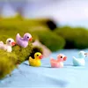 Decorações de jardim Dos Desenhos animados Ducks Hard Resina Duck Charms Mold para Jardinagem Decor Musgo Miniture RH3612