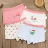 4 teile/los Mädchen Unterwäsche Teenager Reine Baumwolle Höschen Mädchen Wassermelone Druck Boxer Kinder Prinzessin Shorts Unterhosen Baby 2103187477821