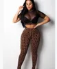 Summer Autumn Tracksuits Women Sexy Sheer Plaid 2pc Pantsuit Stretchy Neck Long Sleeve Crop Top High Waist Slim Pant Party Two Piece Outfits