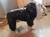 ペット犬の服綿ロシア冬の厚い衣装のパーカー防水服のための服のための服テディの子犬ジャンプスーツオーバーコート211013