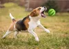 ゴム咀ーボール犬のおもちゃトレーニングおもちゃ歯ブラシチューズフードボールペットプロダク