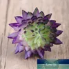 Decoratieve bloemenkransen 6 stks realistische kunstmatige succulente kleine DIY-installaties onbetekenend voor huisdecoratie