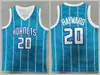 Мужчины баскетбол 2 баскетбольный шар Ламело Джерси 3 Terry Rozier III 20 Гордон Hayward зеленый фиолетовый белый синий команда цветная вышивка и шить