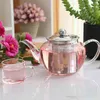 Heat Resistant Glass Loose Tea pot With Stainless Steel Infuser Filter Water Coffee Leaf Pot Home Office 400 600 800Ml 210621