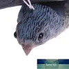 Gerçekçi Uçan Kuş Şahin Güvercin Yıkıcı Haşere Kontrolü Bahçe Korkunç Korkuluk Süs Bahçe Süs Açık Fabrika Fiyat Uzman Tasarım Kalitesi Son Stil