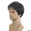 Men's Synthetic Wig Black & White Mix Color Perruques de cheveux humains Simulation Human Hair Wigs WIG-M26