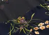 Hsa Europäischer und amerikanischer Sommerwind Damen Blumen und Pflanzen bedrucktes Kurzarmkleid mit quadratischem Kragen 396 210716