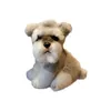 Kawaii Schnauzer Chien En Peluche Jouet Petit Doux Simulation Enfants Animal En Peluche Jouets pour Enfants Mignon Po Props Filles Cadeau D'anniversaire 210728