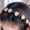 Accesorios para el cabello Diadema de aro para niños Clip de horquilla de dibujos animados Haibands Flor de perla Bang Fixed Sweet Cute Girl Headwear