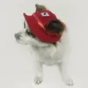 Christmas pet products dog hat winter summer beach hats for dogs costume accessories littest cute Chien