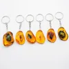6PCSSET REAL SCORPIONキーチェーン新しい明るい製品Real Crab and Scorpion Keychain Bag Car Key Ring G10197205230