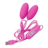 USB Dubbelhuvud Hastighet Vibrerande ägg 12 Frekvens Multispeed G Spot Massager Pussy Vibrator Sexleksaker för kvinnor Vuxenprodukter Vattentätning