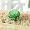 Plantes Succulentes Artificielles PVC Simulation Aloe Lotus Fleur Paysage DIY Faux Fleur Creative Décoration de La Maison DIY Accessoires