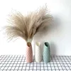 8/10/20 st Real Torkade Pampas Grass Fluffy Wedding Flowers Bouquet Natural Växter för Thanksgiving Day Christmas Home Decor 210317