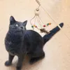 Zabawki Cat Trwałe Zmienione Głowy Drewno Play Wand Stick Heaser Polak z Piórko Interaktywne Zabawki Pet Supplies