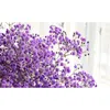 15-22 100g Natural Babys Breath Flowers Bouquet Fresh Real Touch Forever Babys Breath Flower For DIY Eternal Flower Material 210317