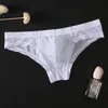 New Ice Silk Ultrathin Transparent Mens Briefs Men Seamless Sexy Panties Pouch Bikini Erotic Underwear Jockstrap4021232