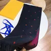 Top Luxo Lenço Cashmere e Seda Misturando Cores Pashmina Inverno Quente Marca Designer Carta Shawl Clássico Padrão Longo 180cm com