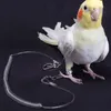 Andere vogelbenodigdheden legering beenring flexibele kettingriem anti bijt plastic draad touw papegaai outdoor vlucht training