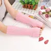 Winter Women Arm Warmers Knitted Woolen Arm Sleeve Fine Long Fingerless Gloves Casual Warm Soft Female