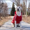 Pies z kapturem Dog Odzież do średnich i dużych psów Kurtki zimowe Ciepłe Pet Fleece Płaszcz zimny Pogoda Zwierzęta Ubrania Husky Collie Labrador Retriever Golden Red 3XL-9XL A195