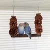 Andere Vogelbedarf Haustierspielzeug Sicheres Papageienschaukelspielzeug Natürliches Holz Kreativ für Sittiche