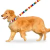 Hermosa moda Rainbow Stripes Collares para perros Correas Arneses Set Ajustable Durable Colorfast Adecuado para perros pequeños, medianos y grandes Tamaño Extra S 8 "a 12" de largo