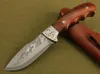 Uitstekende kwaliteit Damascus jachtmes Rood palissander Handvat 58HRC Blade Outdoor camping wandelen survival mes messen Collectable