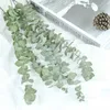 Natuurlijke eucalyptus bladeren takken stelen gedroogde bloem real palnt ornament voor diy bruiloft schieten prop woning decoratie levert y0630