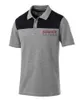 Camisetas masculinas 2021 Summer F1 Fórmula 1 Camisa de polo de corrida