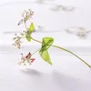 Dekorativa blommor kransar naturlig pressad blomma för harts fagopyrum esculentum torkad diy telefon täcker smycken cande soap scrapbook 24pcs