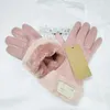 2021 Nya Kvinnors Canvas Cashmere Handskar Höst Varm Plush Windproof Five-Finger Fashion Mittens