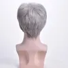 Perruques synthétiques MSIWIGS Perruque courte gris argenté Cheveux pour hommes Personnes âgées Raides pour les personnes âgées de couleur blanche