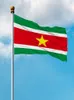 Banderas de Surinam Bandera nacional de poliéster Volando 90 * 150 cm Bandera de 3 * 5 pies en todo el mundo en todo el mundo al aire libre se puede personalizar