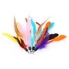 Color Multi Cat Toys Pluma de pájaro Varita de plástico Plástico Diy Catstoys Parts Suministros para gatos 18 cm WHT0228