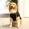 Felpa con cappuccio per cani in 5 colori Abbigliamento per cani Maglioni con cappello Felpe con cappuccio per animali domestici per la stagione fredda Tasca con cappuccio Abbigliamento Costume Cucciolo Gatto Felpa con cappuccio invernale Cappotto caldo Maglione per cagnolino di piccola taglia L A124