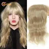 女性のためのバングと1ピースの伸びの上のMeifan合成Toupee 3クリップ白髪を覆う