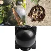 5 Stks Plant Rooting Ball Grafting Growing Box Fokkast Case Wortel voor Tuin 8 / 12cm in diameter. Planters potten