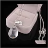 Pendant Necklaces & Pendants Jewelry Bottle Seed In Glass Sier Plated Long Chain Necklace Natural Dandelion Necklace